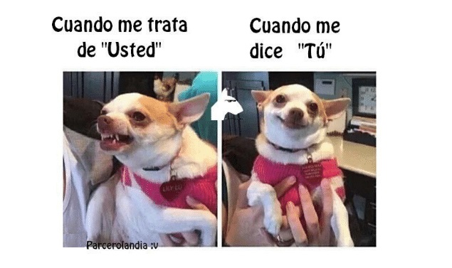 usted broma3
